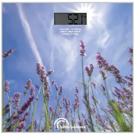 LITTLE BALANCE PESE  8842